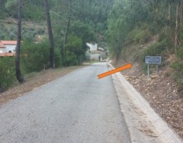 salgueiro da ribeira